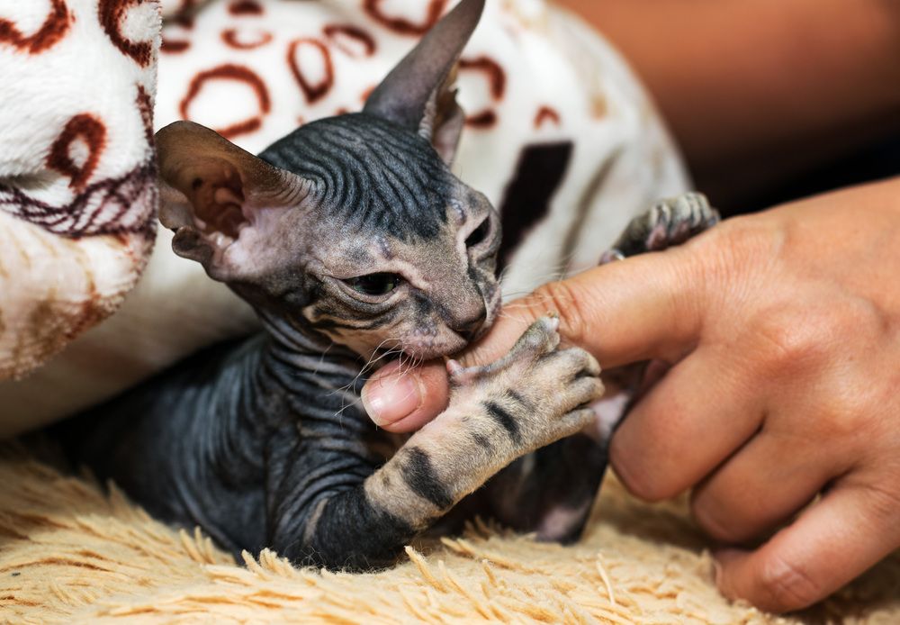 Photograph by Прохоров Денис