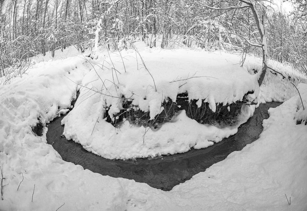 Photograph by Николай Галкин