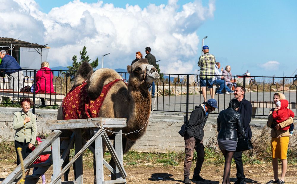 Photograph by Прохоров Денис