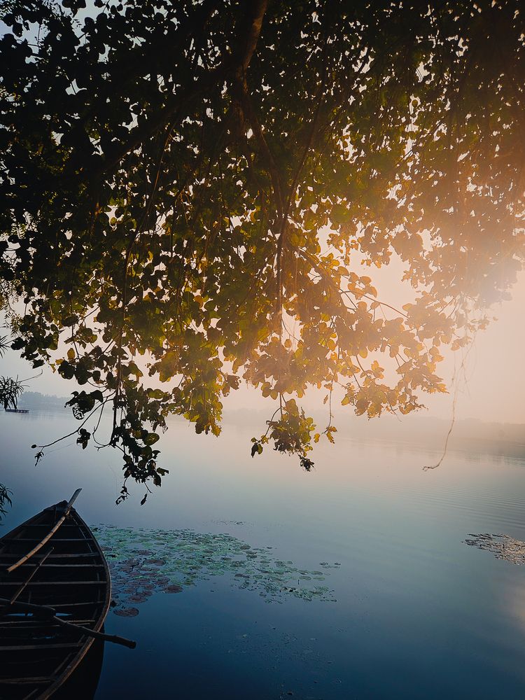 Photograph by Debayan Bhattacharya