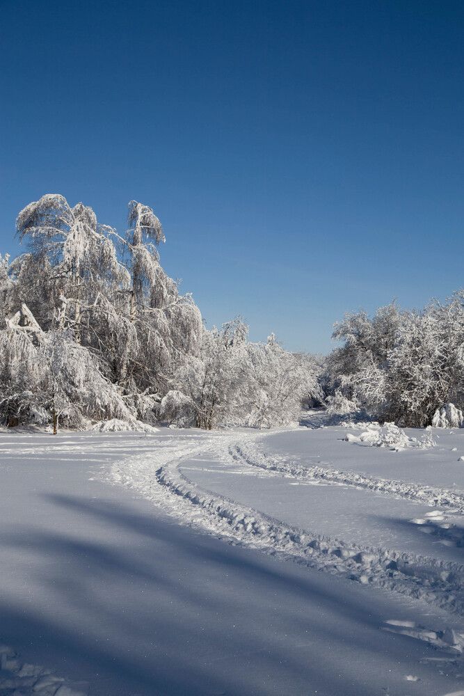 Photograph by Карнаухов Алексей