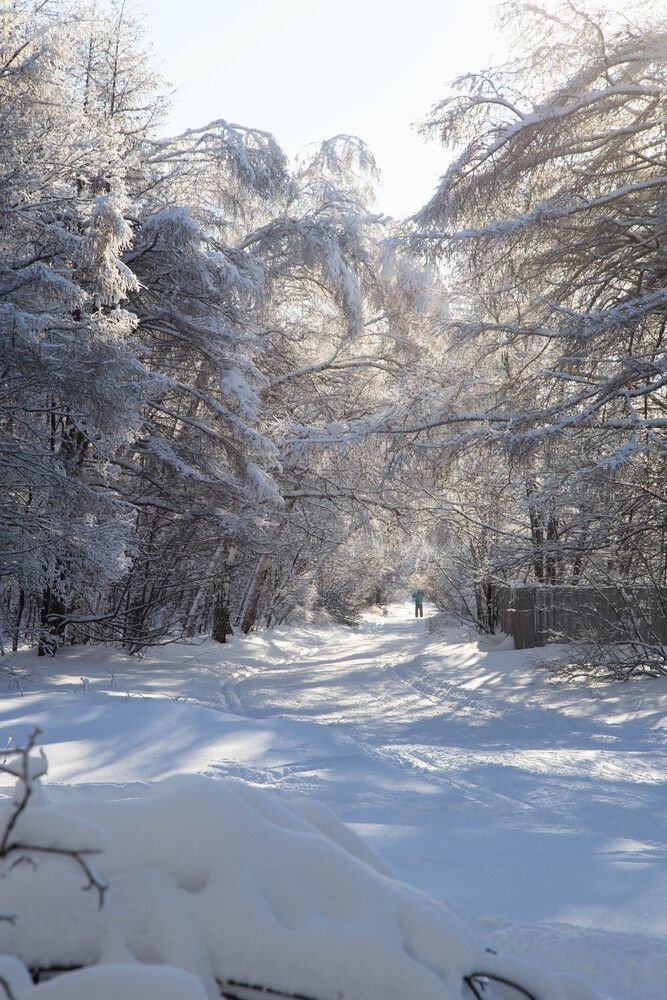 Photograph by Карнаухов Алексей