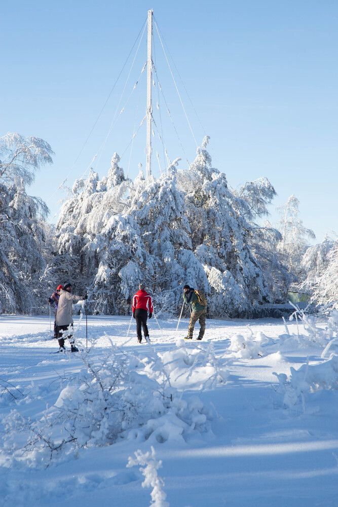 Photograph by Карнаухов Алексей