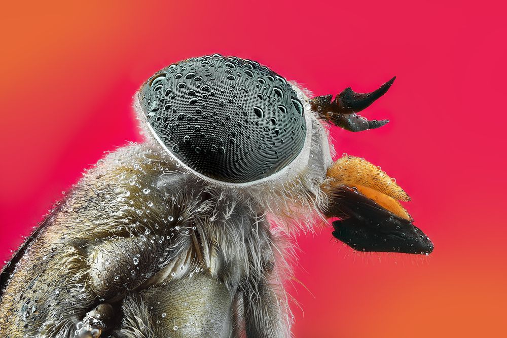 Photograph by Pedro Luis Ajuriaguerra Saiz