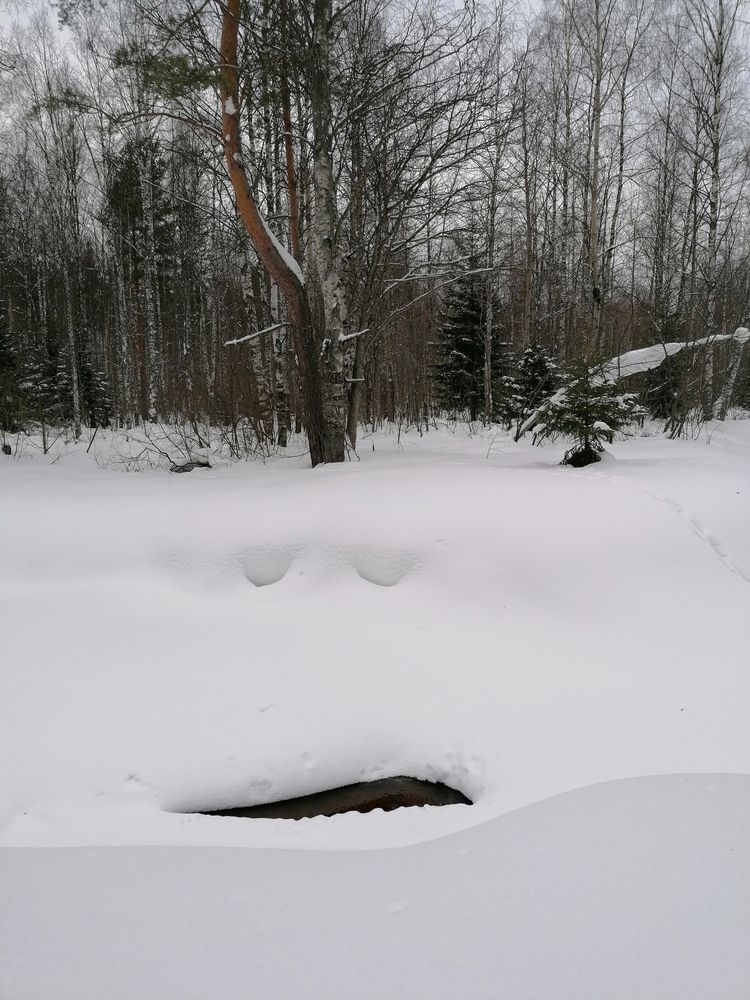 Речка спит и посапывает