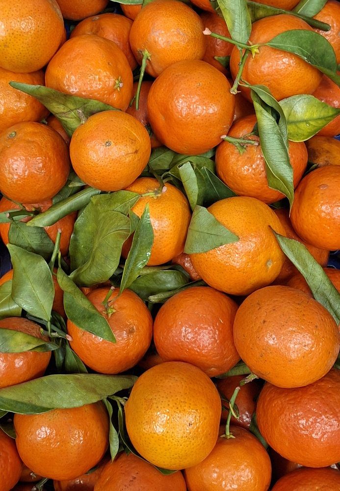 Tangerines