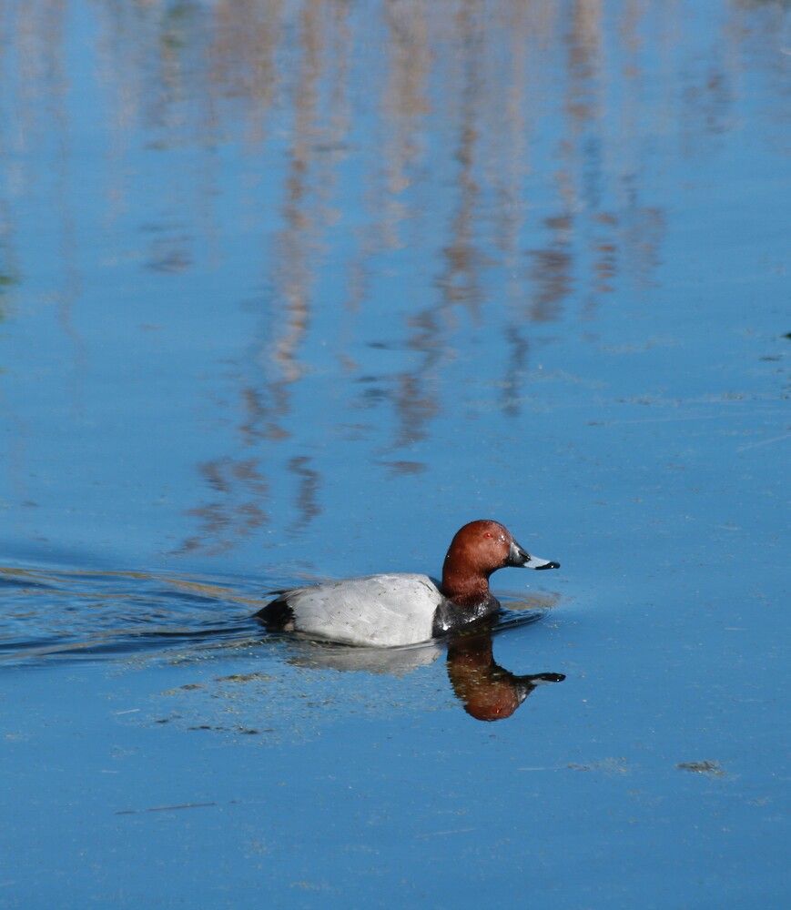 Photograph by Гагик Саркисян