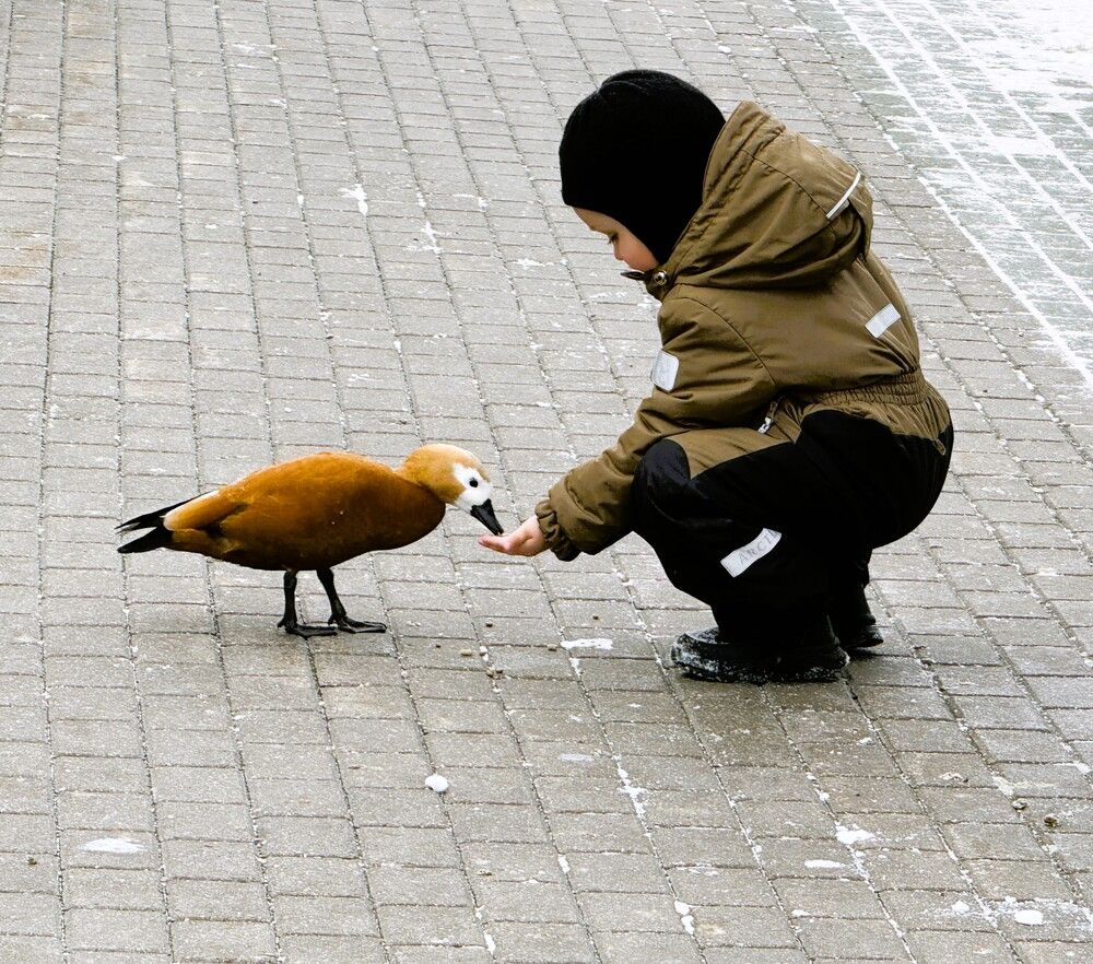 Photograph by Светлана Парамонова