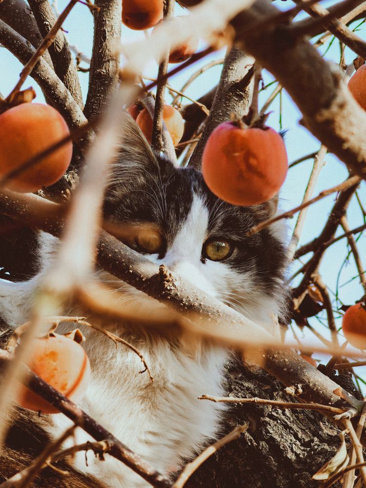 Photograph by Marat Ruslanovich