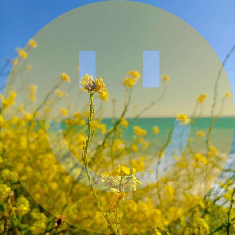 Фотография автора Лена Соколова