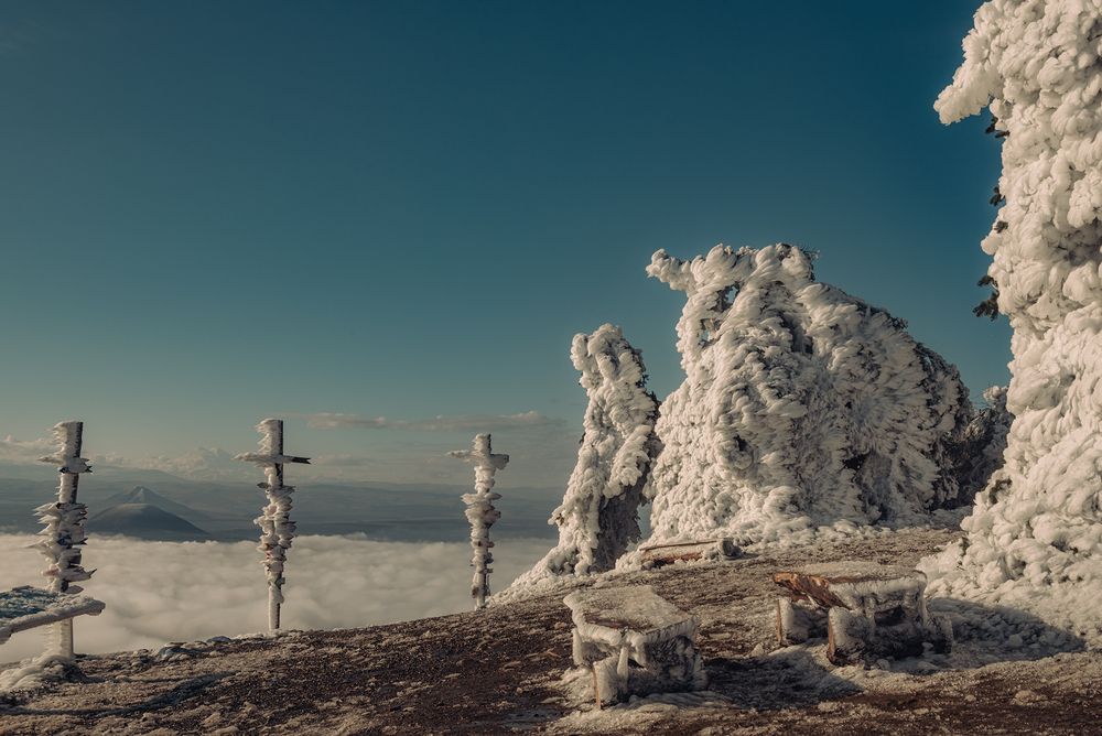 Фотография автора Мария