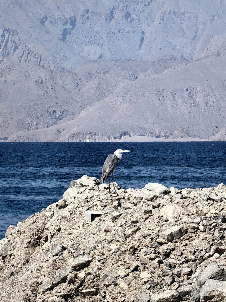 Photograph by Veranika Siratsinina
