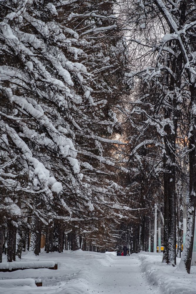 Photograph by Ксения Шилина