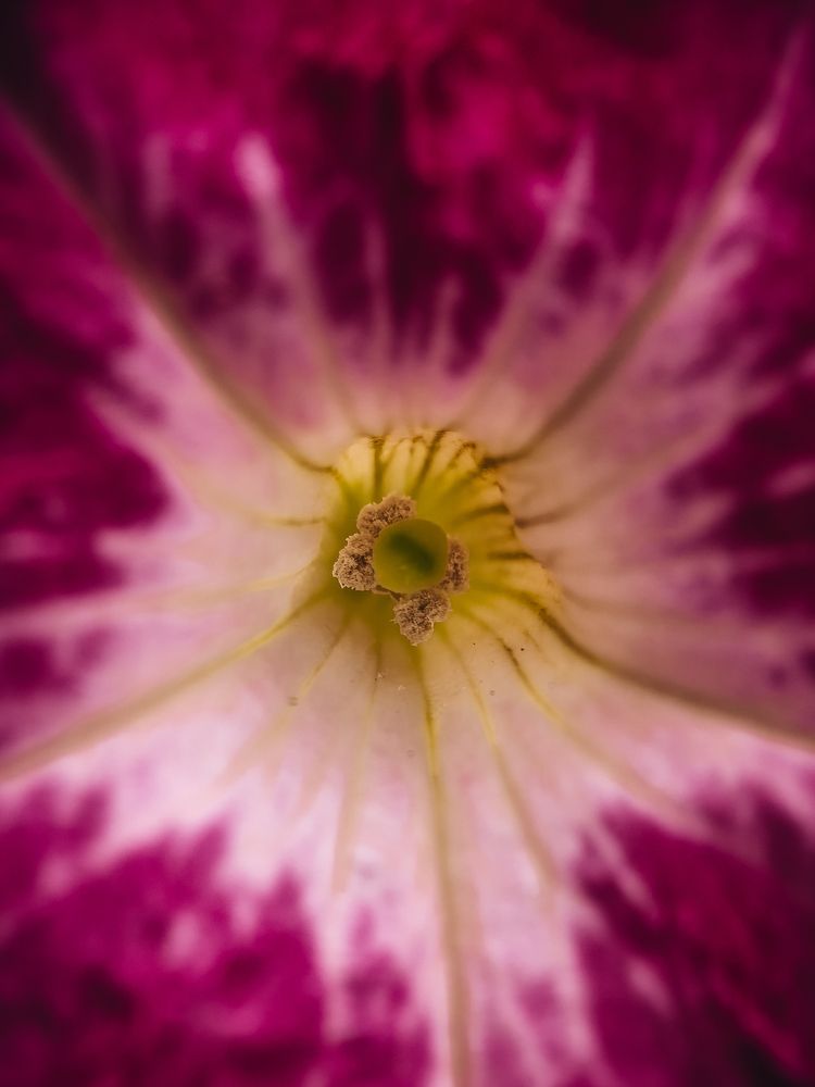 Photograph by Алеся Садченко