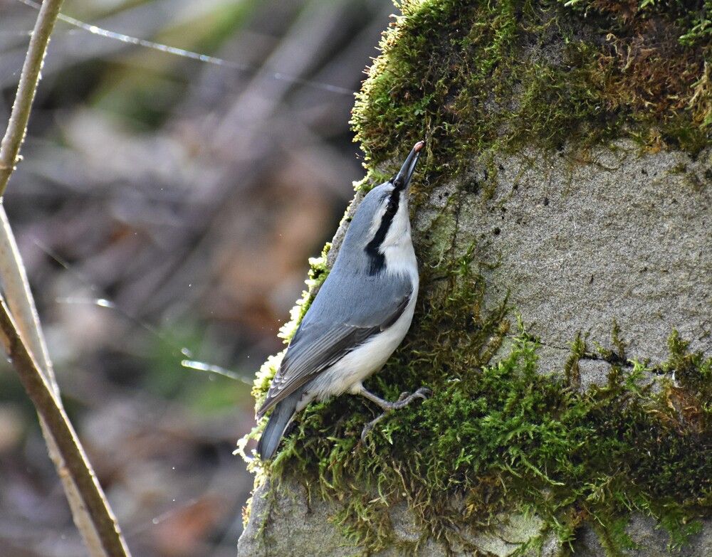 Photograph by Александр Прядко