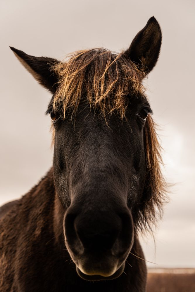 Фотография автора Ольга Матвеева