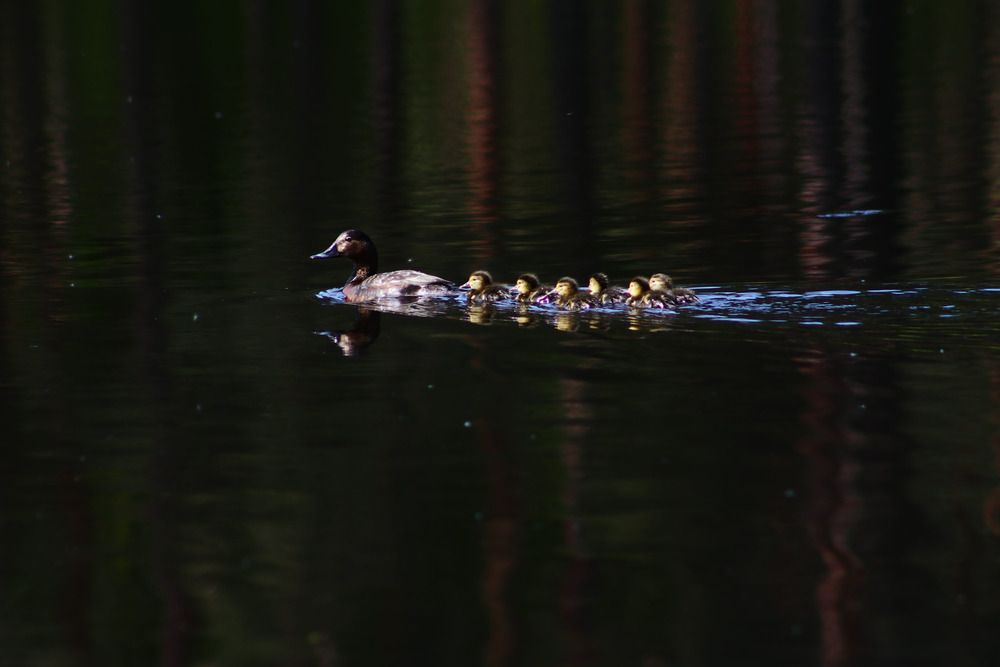 Фотография автора Ольга Матвеева