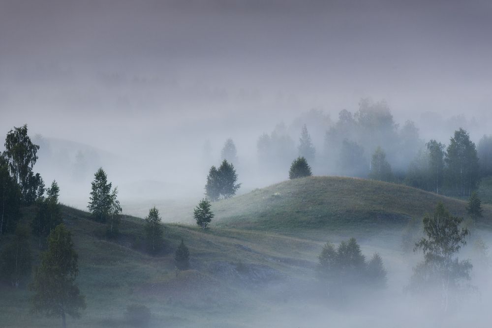 Photograph by Татьяна Бирюкова