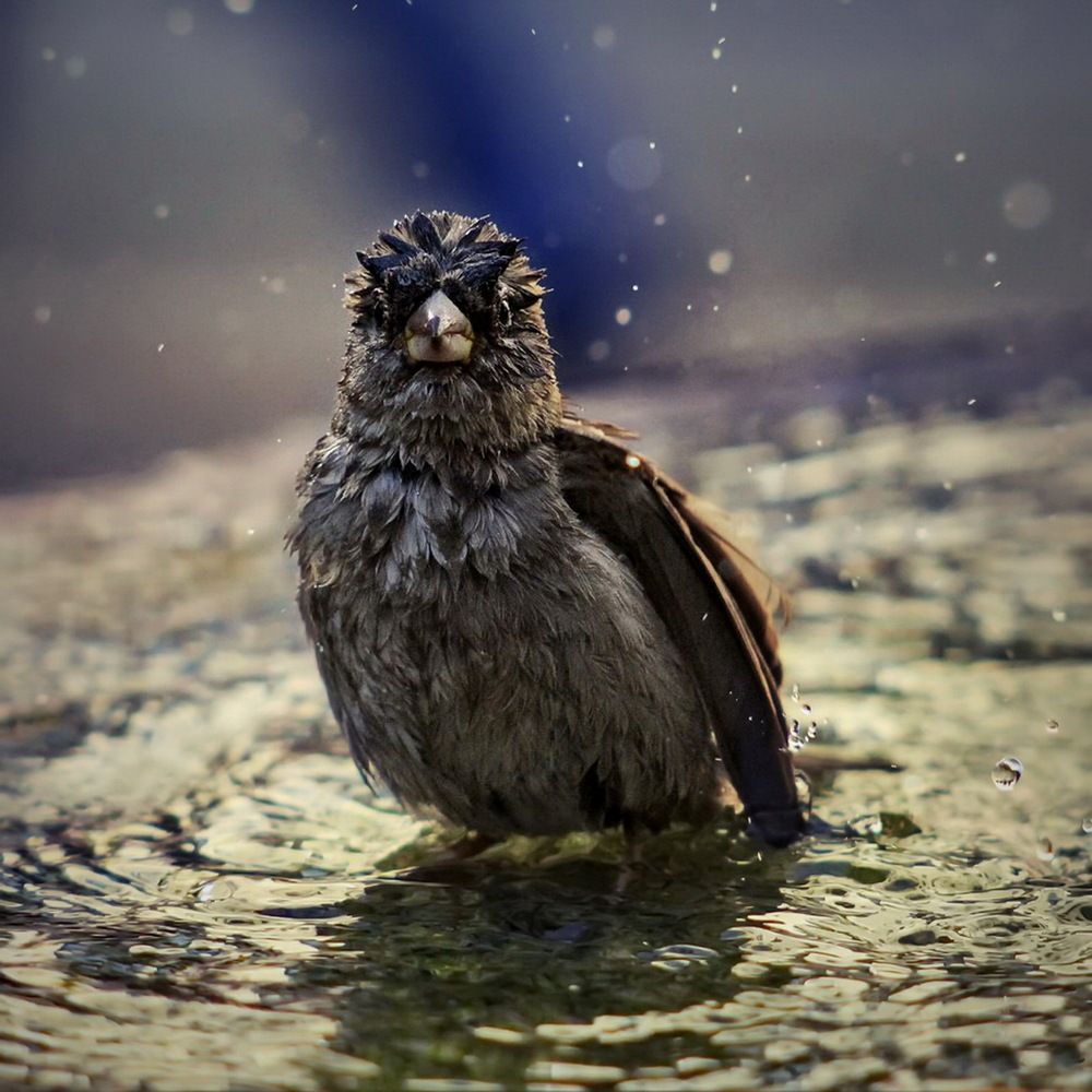 Photograph by Станислав Староверов