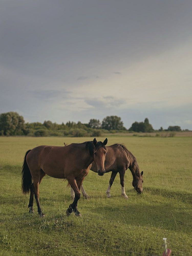 Photograph by АННА ЕРМАК