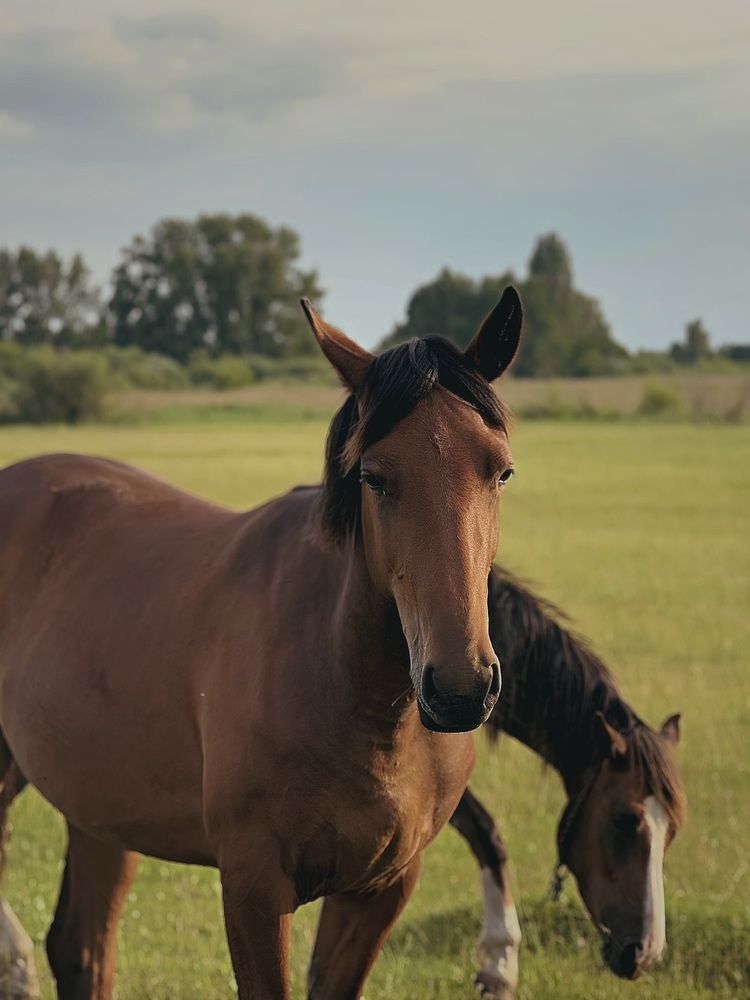 Photograph by АННА ЕРМАК