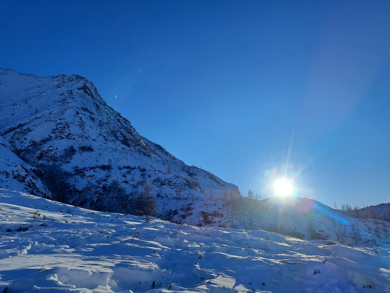 Photo #13121785