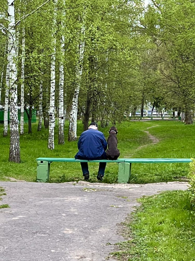 Photograph by Дарья Софронова