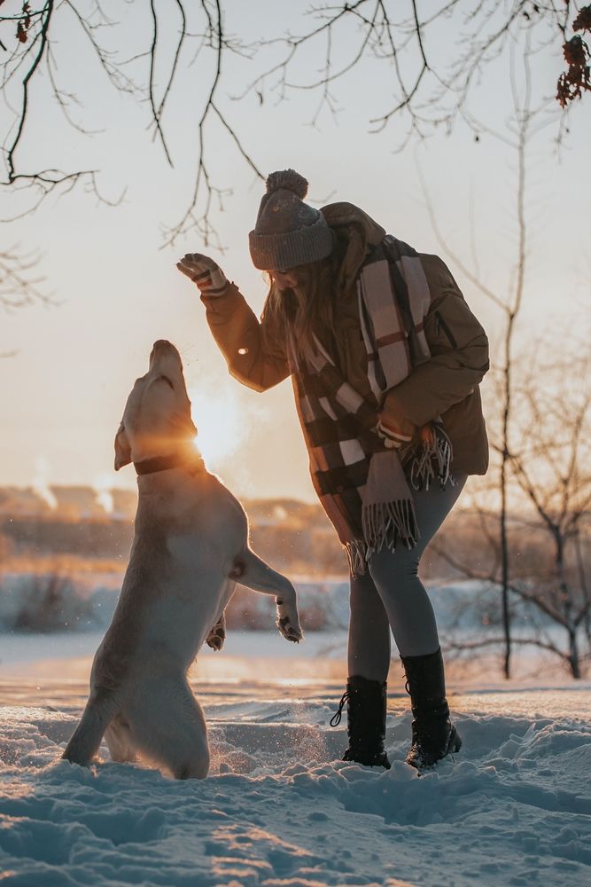 Photograph by Александр Гапеев