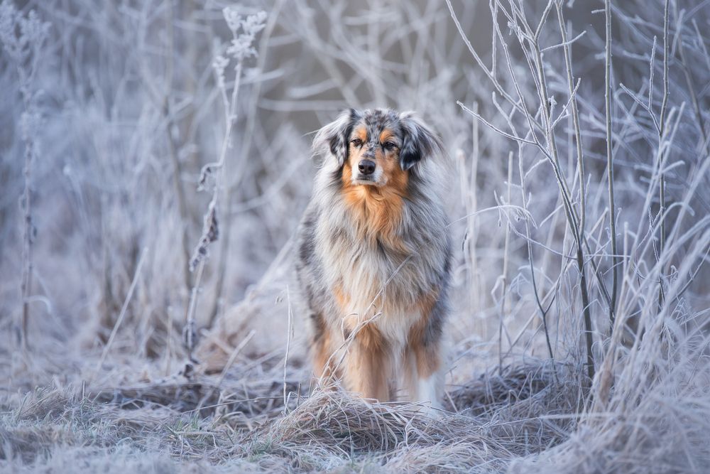 Photograph by Julia Laatz