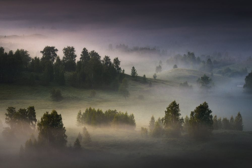 Photograph by Татьяна Бирюкова