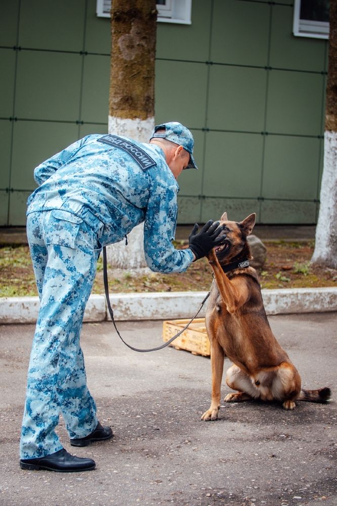 Photograph by Степоненкова Екатерина