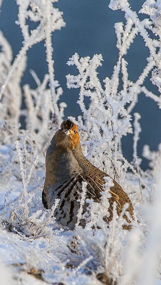 Photograph by Татьяна Каскевич