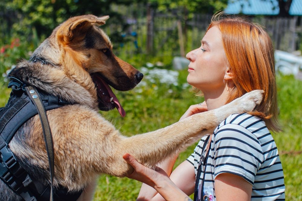 Photograph by Степоненкова Екатерина