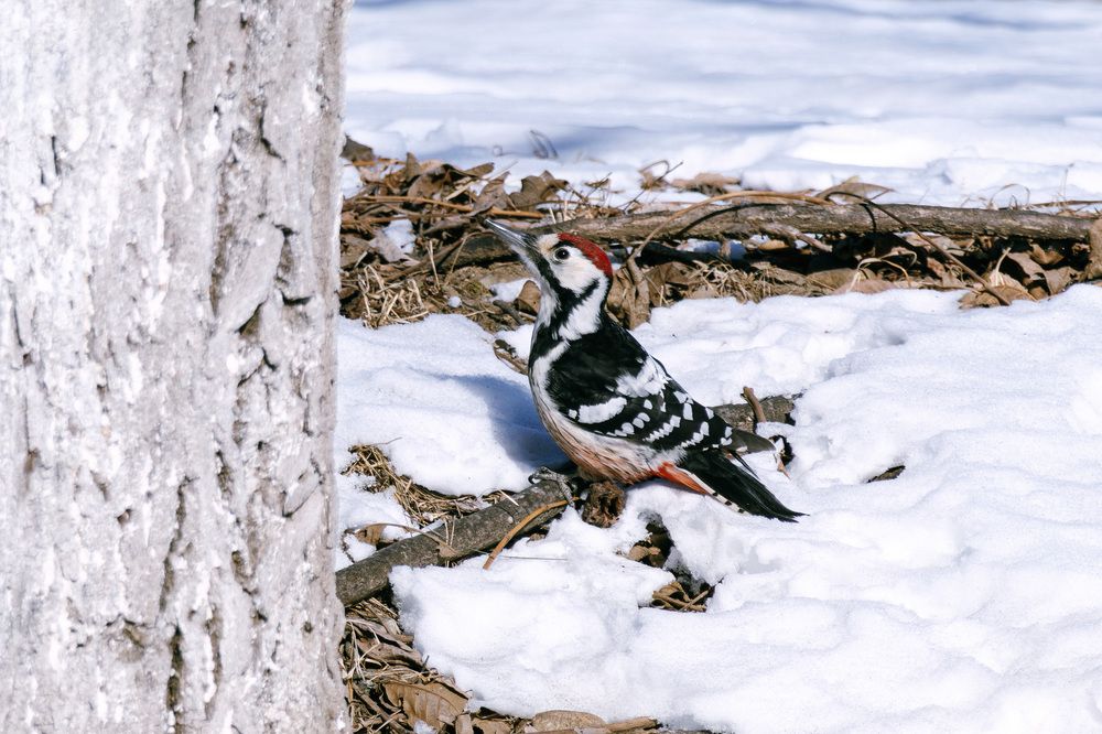 Photograph by Мороз Олег