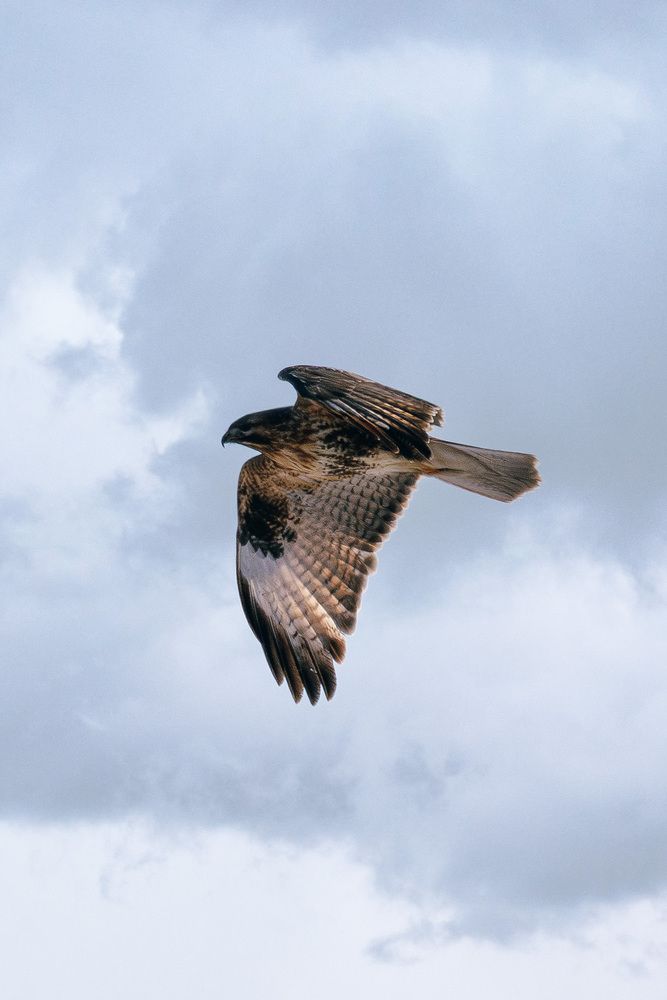 Photograph by Мороз Олег