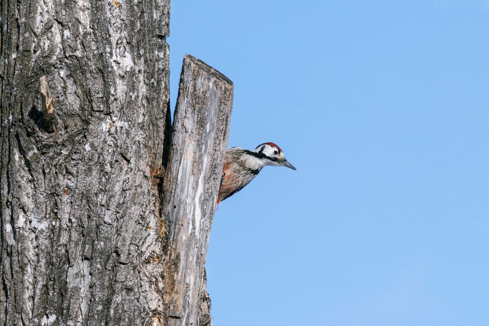 Photograph by Мороз Олег