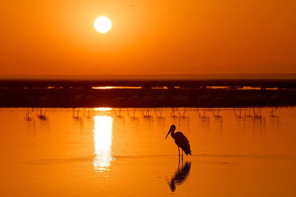 Photograph by Duc de Salier