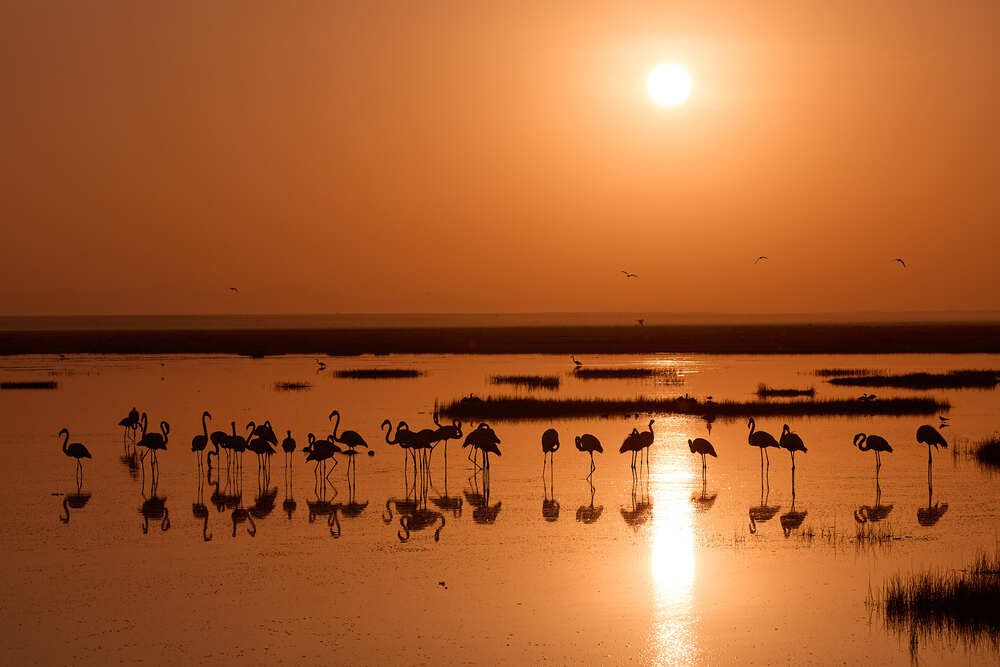 Photograph by Duc de Salier