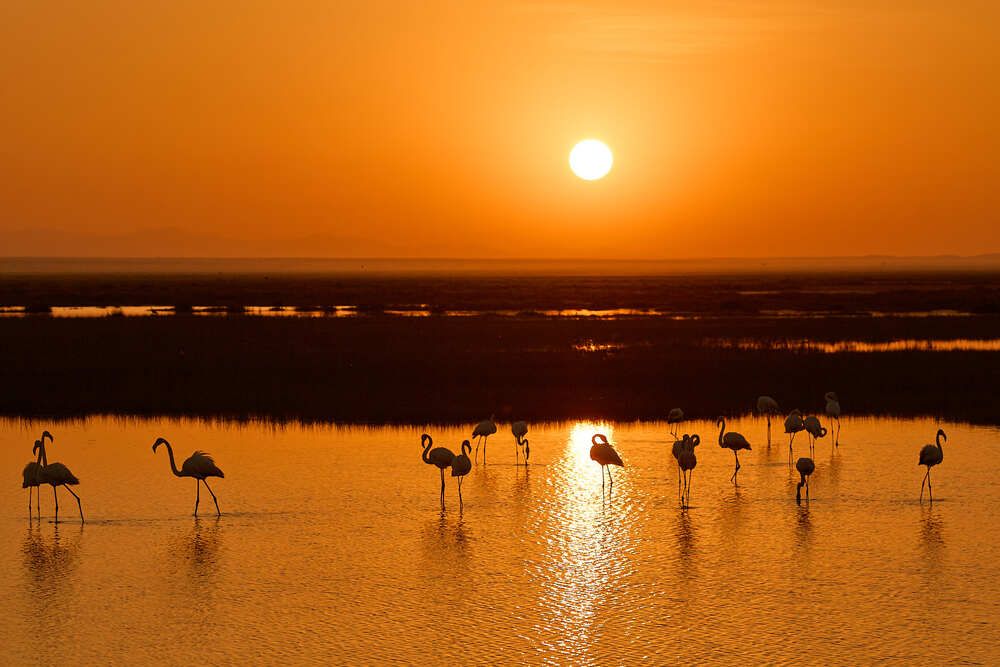 Photograph by Duc de Salier