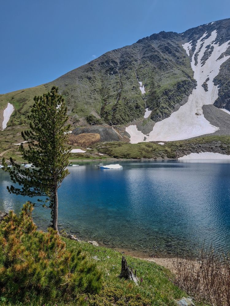 Photograph by Polina Latypova