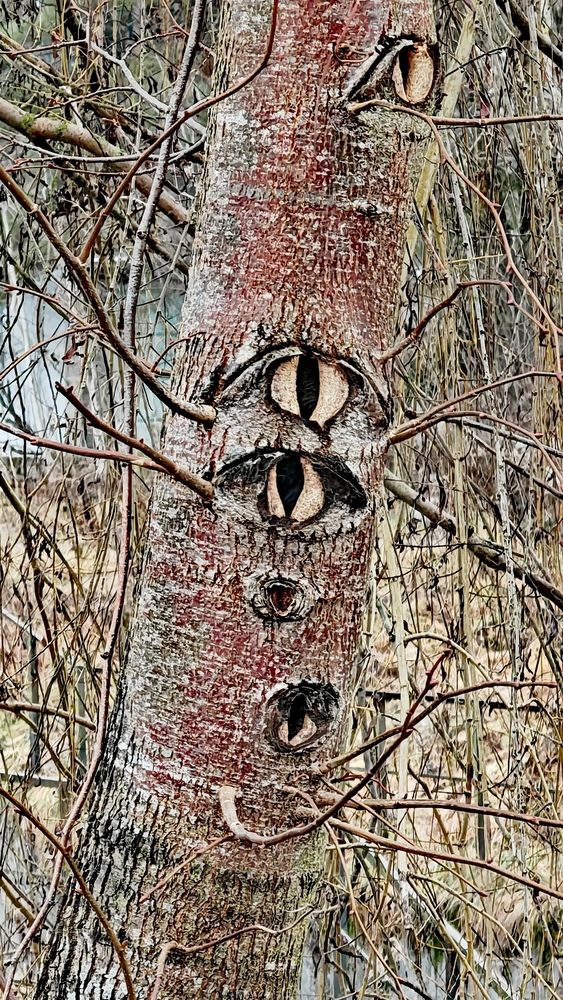 Photograph by Юлия Васильевна
