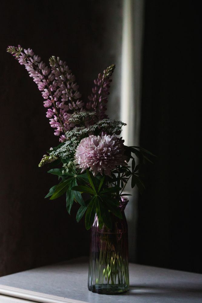 Photograph by Жанна Никифорова