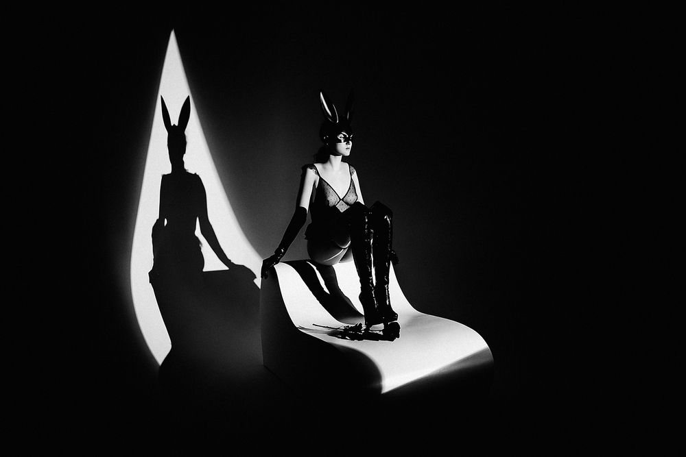 The bunny and her shadow
