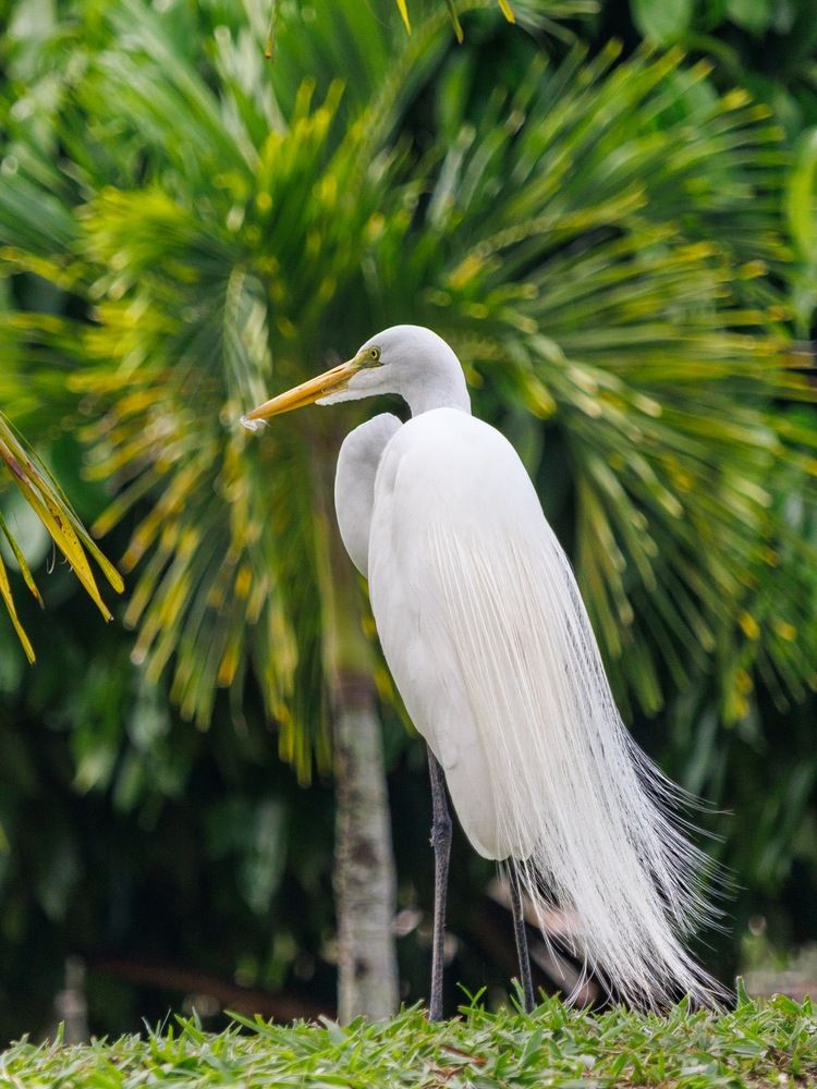 Photograph by Alonso Correia