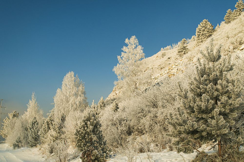 Photograph by ВЛАДИМИР ВОРОБЬЕВ