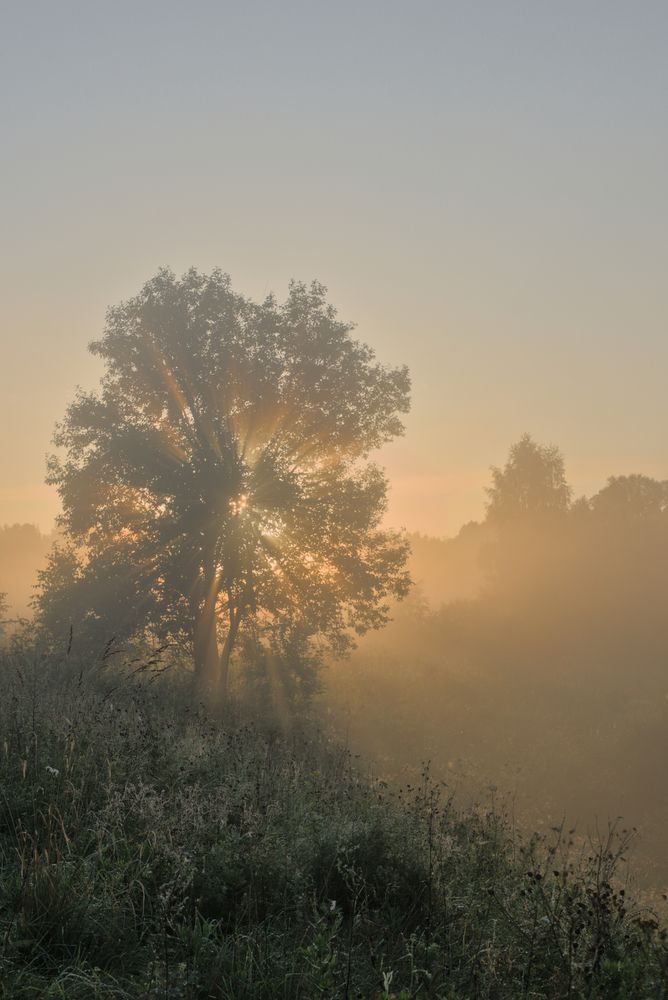 Photograph by Николай Потапов