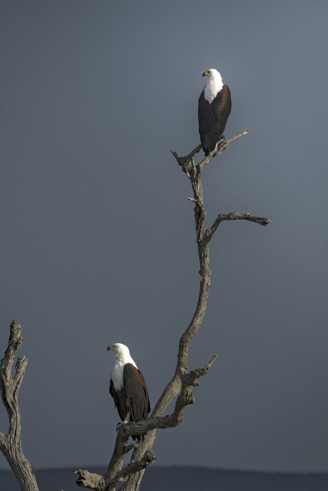 Photograph by Николай Потапов