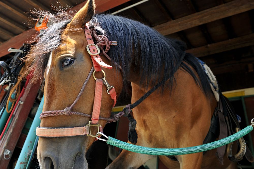 Photograph by Nonnie