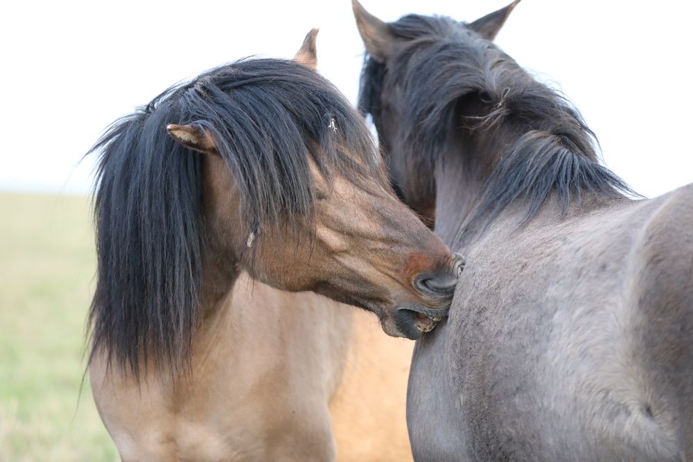 Photograph by Одаренко Ольга