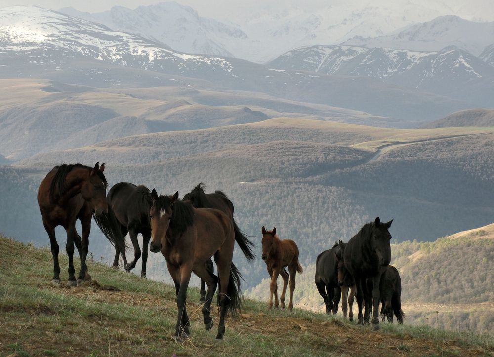 Photograph by Галина Хвостенко